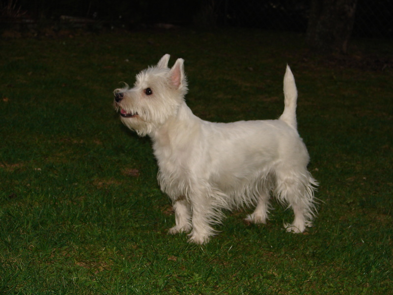 DSC03073.jpg