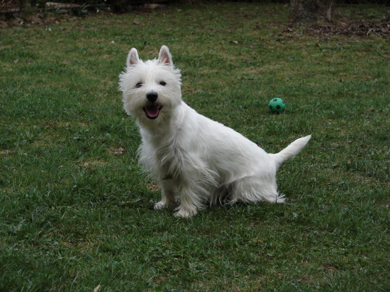 DSC03074.jpg