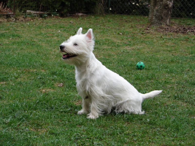 DSC03075.jpg