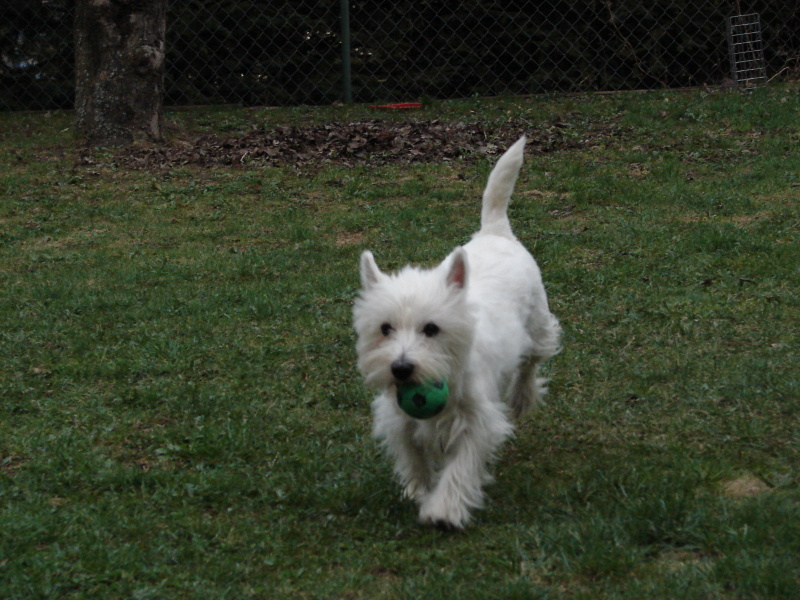 DSC03077.jpg