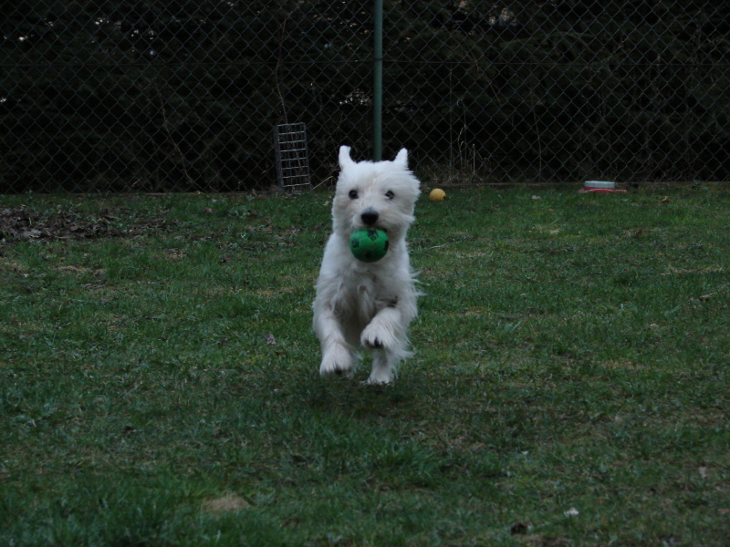 DSC03078.jpg