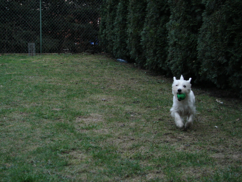 DSC03083.jpg
