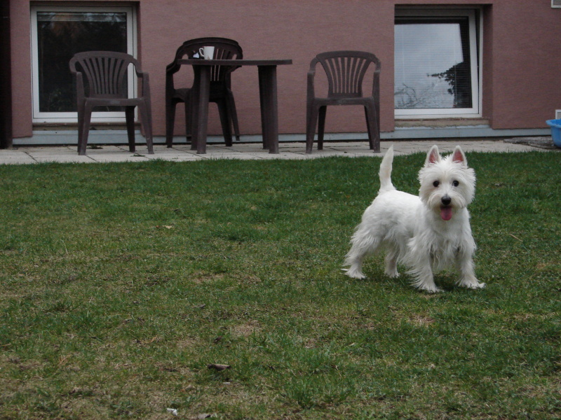 DSC03089.jpg