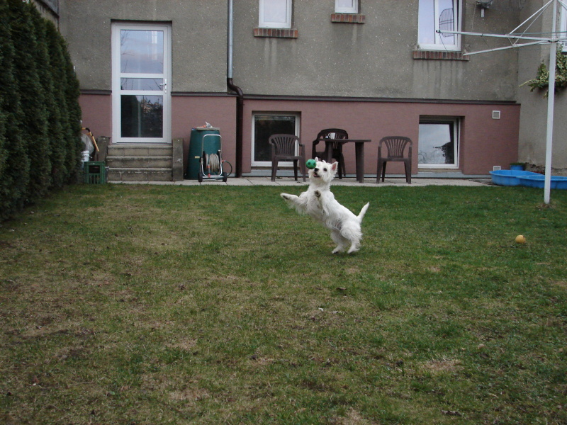 DSC03090.jpg
