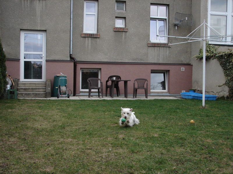 DSC03091.jpg
