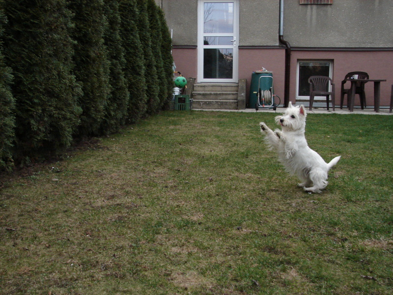 DSC03093.jpg