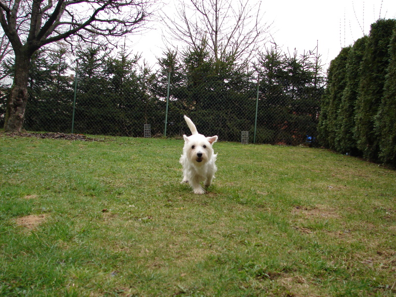 DSC03097.jpg