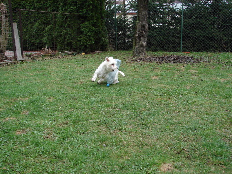 DSC03111.jpg