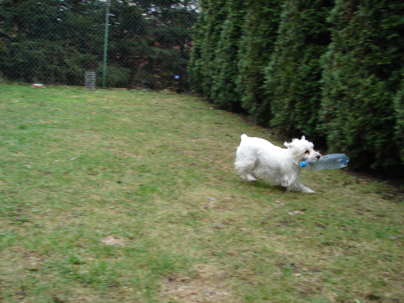 DSC03112.jpg