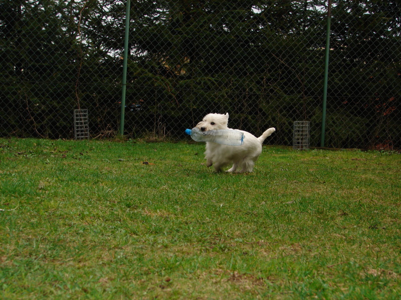 DSC03121.jpg