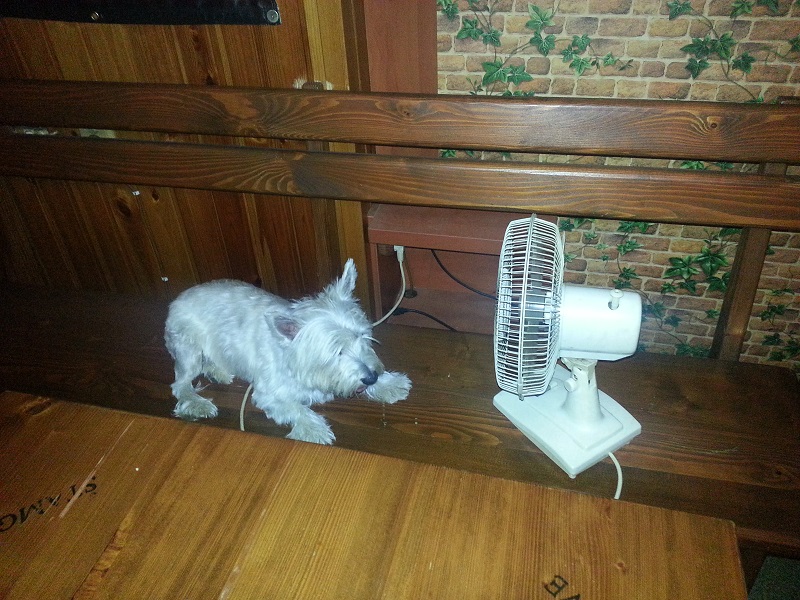 20130807_001104_small